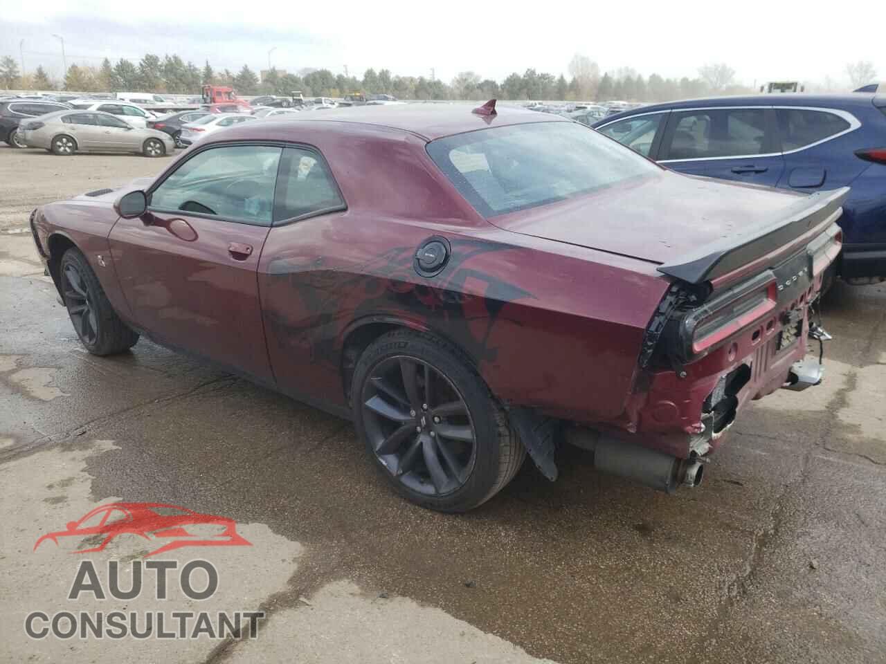 DODGE CHALLENGER 2019 - 2C3CDZFJXKH739742