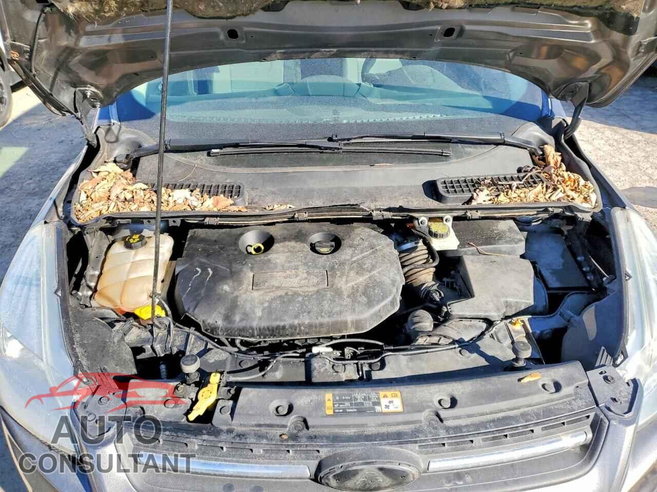 FORD ESCAPE 2014 - 1FMCU9G94EUD85455