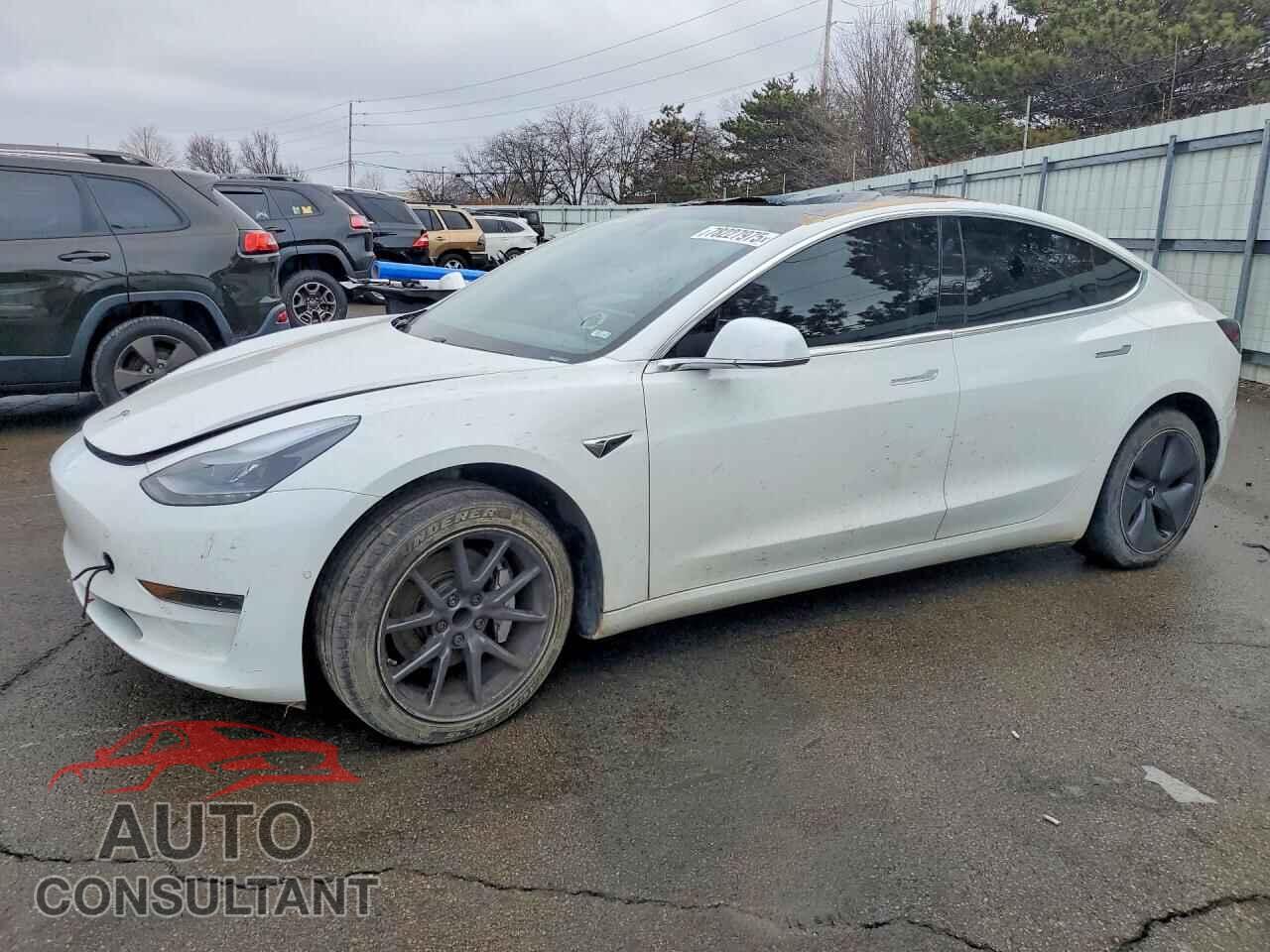 TESLA MODEL 3 2019 - 5YJ3E1EA2KF464661
