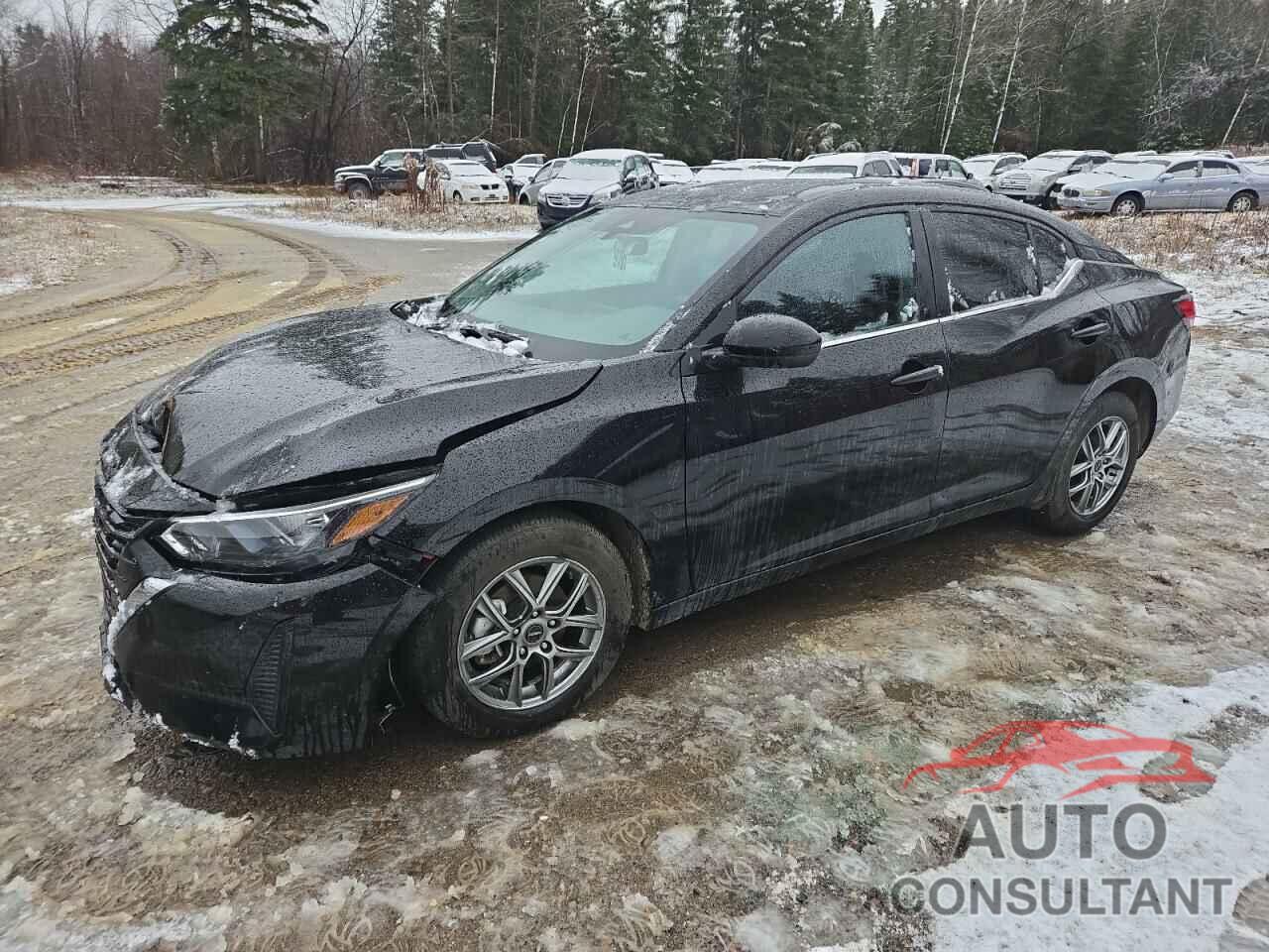 NISSAN SENTRA 2024 - 3N1AB8BV1RY367064