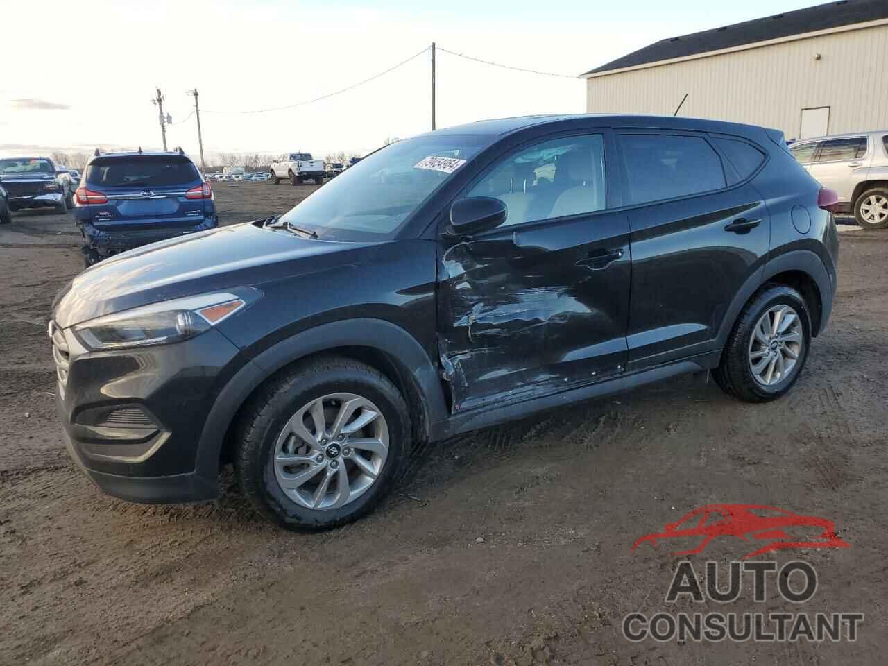 HYUNDAI TUCSON 2017 - KM8J23A43HU451361