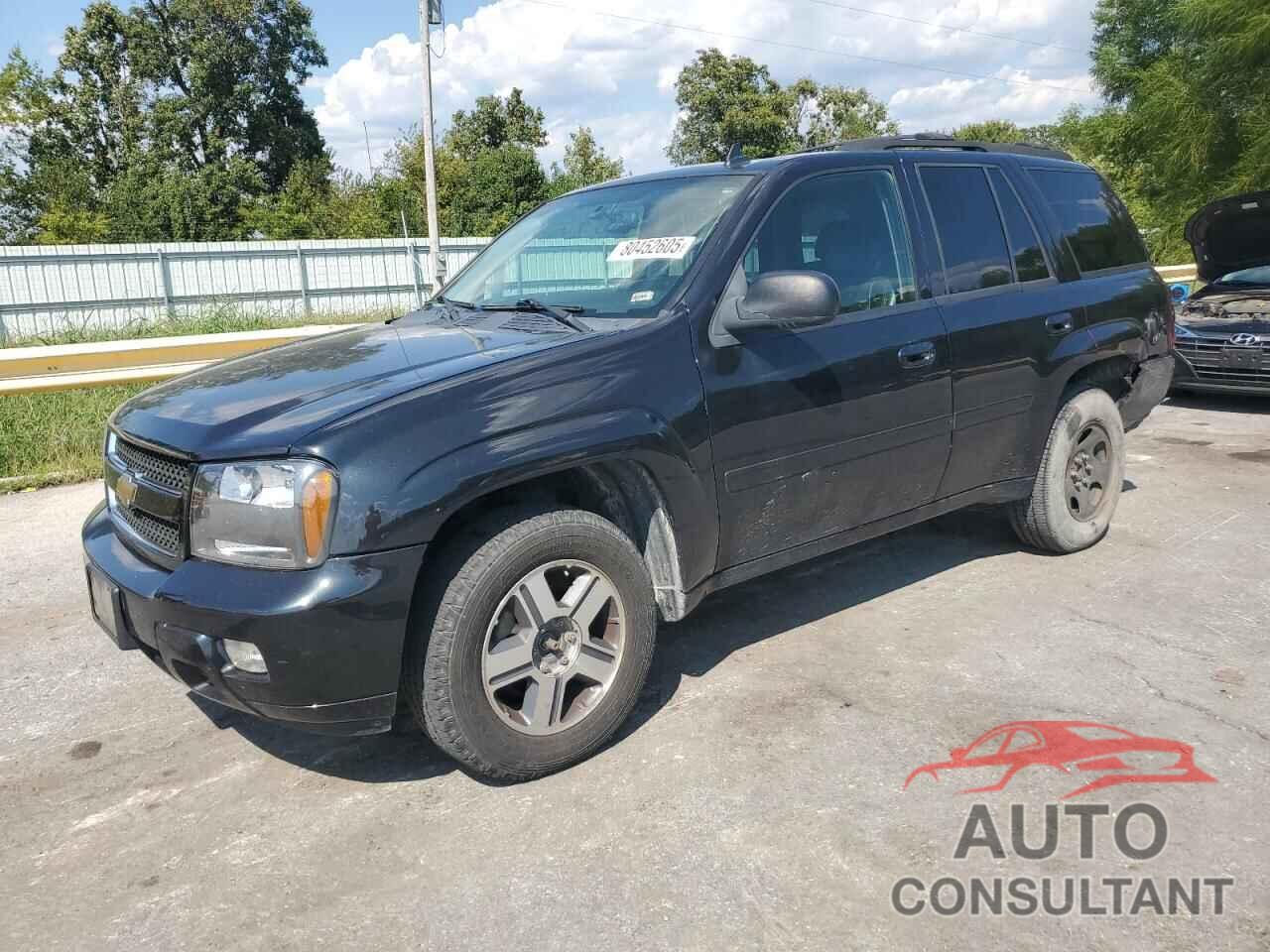 CHEVROLET TRAILBLZR 2009 - 1GNDT33S592131506