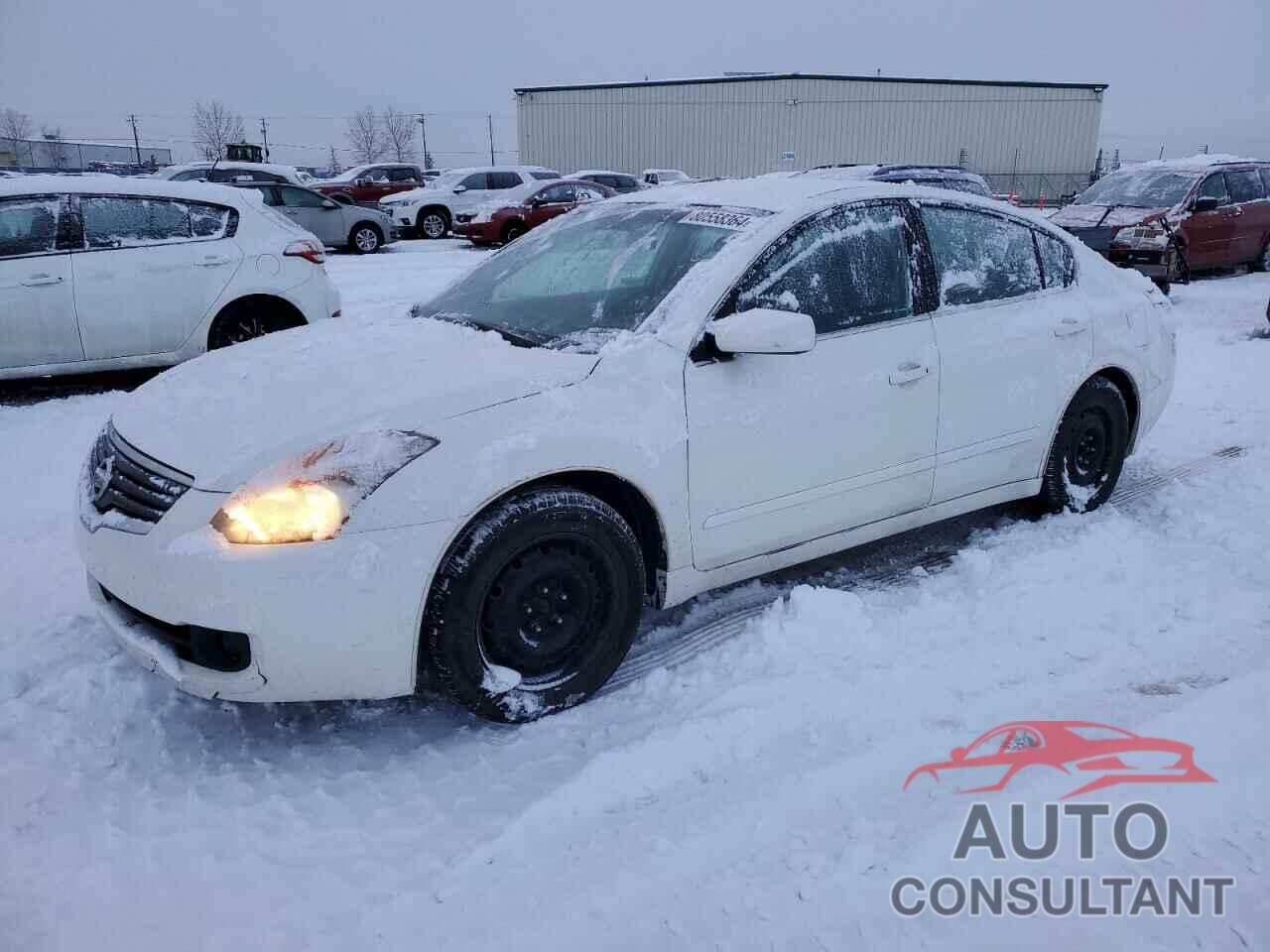 NISSAN ALTIMA 2009 - 1N4AL21E39N412551