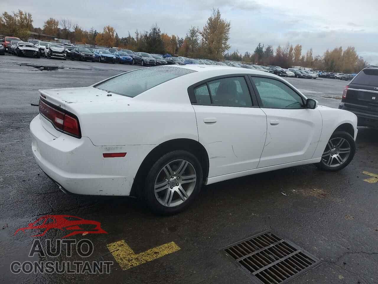 DODGE CHARGER 2014 - 2C3CDXHG0EH234299