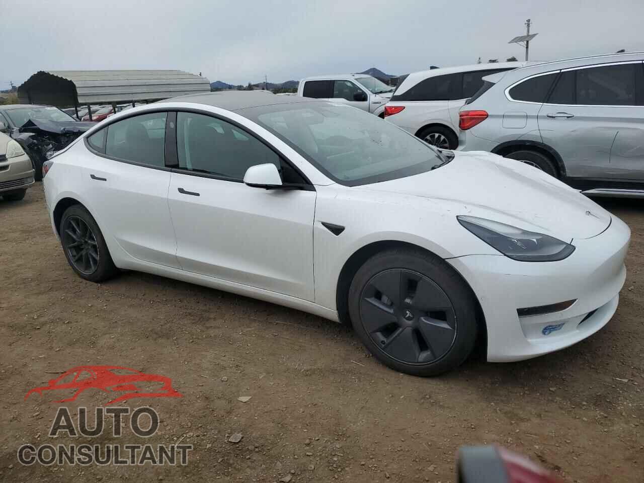 TESLA MODEL 3 2021 - 5YJ3E1EA3MF030252