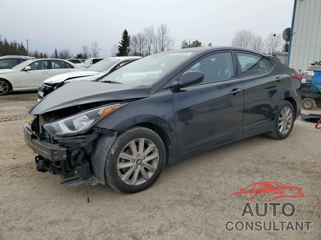HYUNDAI ELANTRA 2016 - KMHDH4AE8GU556518