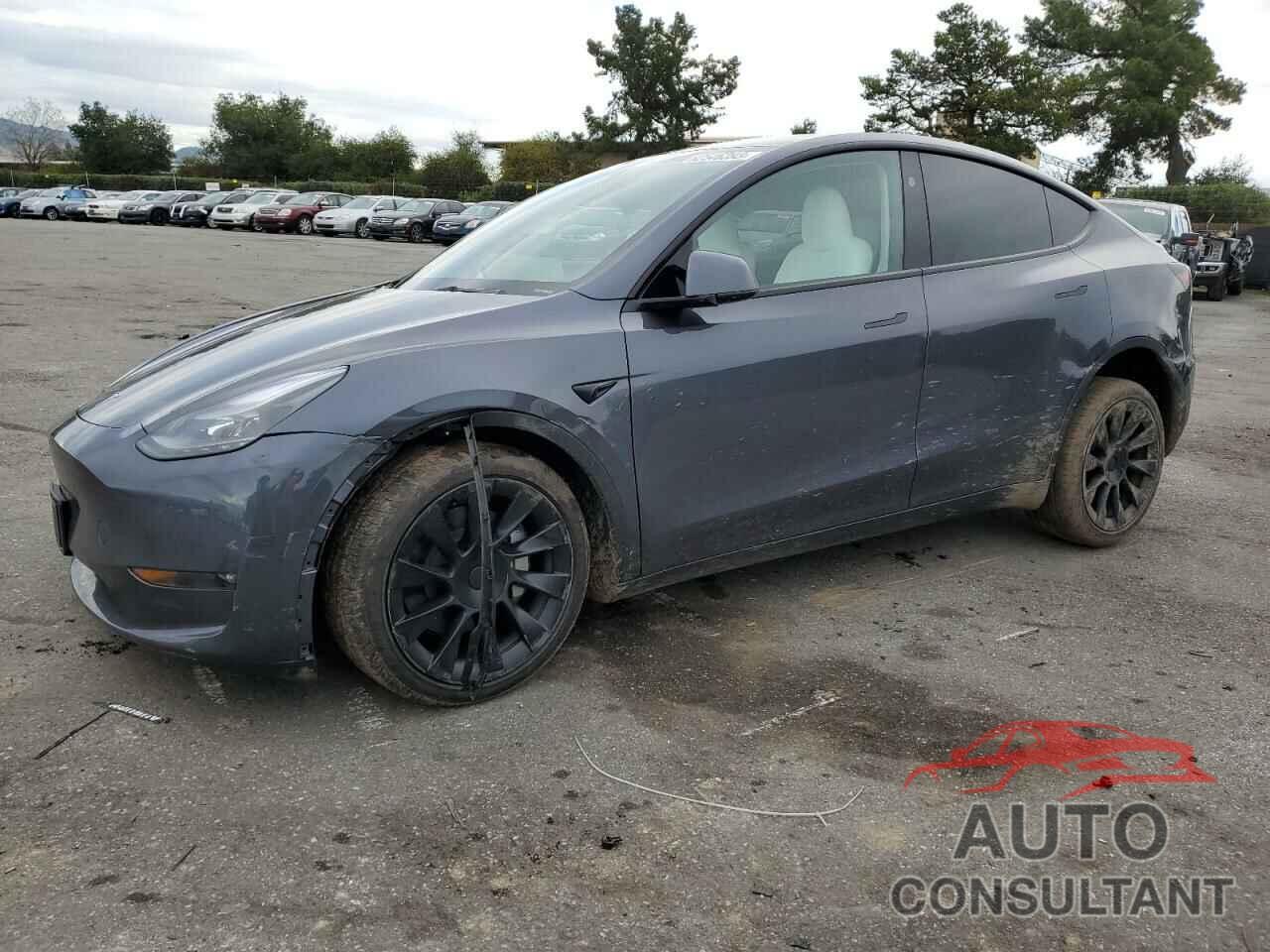 TESLA MODEL Y 2023 - 7SAYGDEE9PF878275