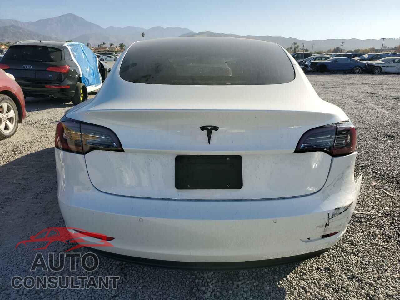 TESLA MODEL 3 2019 - 5YJ3E1EA2KF310211