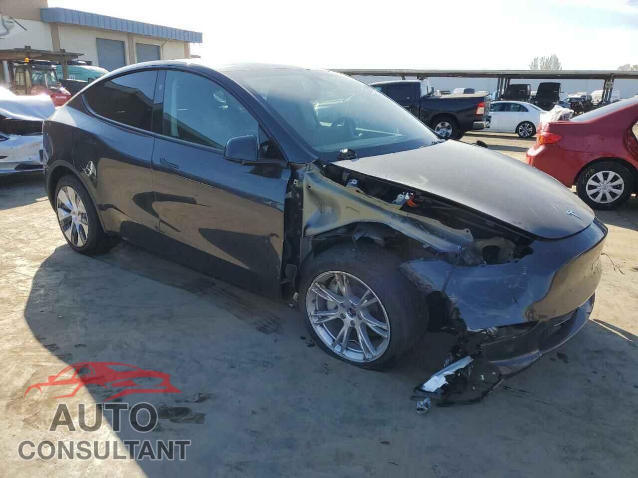TESLA MODEL Y 2024 - 7SAYGDEEXRF995933