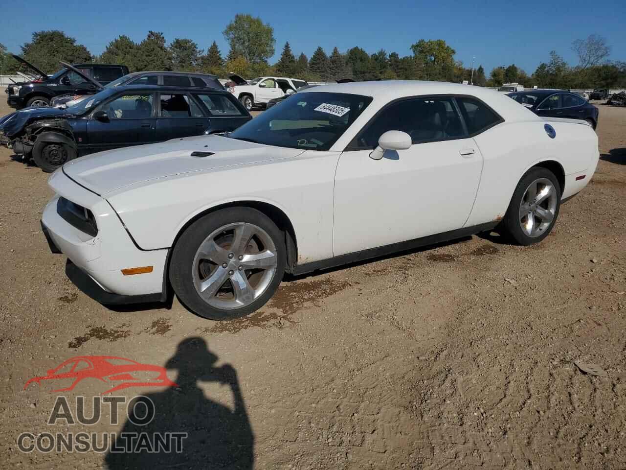 DODGE CHALLENGER 2013 - 2C3CDYAG4DH552022