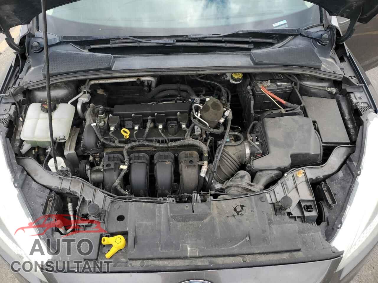 FORD FOCUS 2015 - 1FADP3K22FL294012