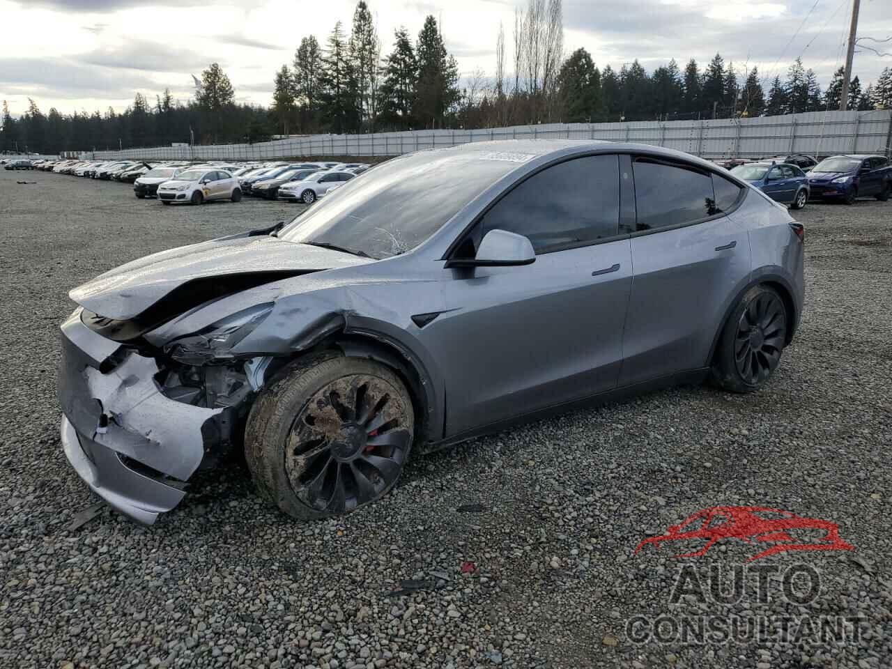 TESLA MODEL Y 2024 - 7SAYGDEFXRF170015