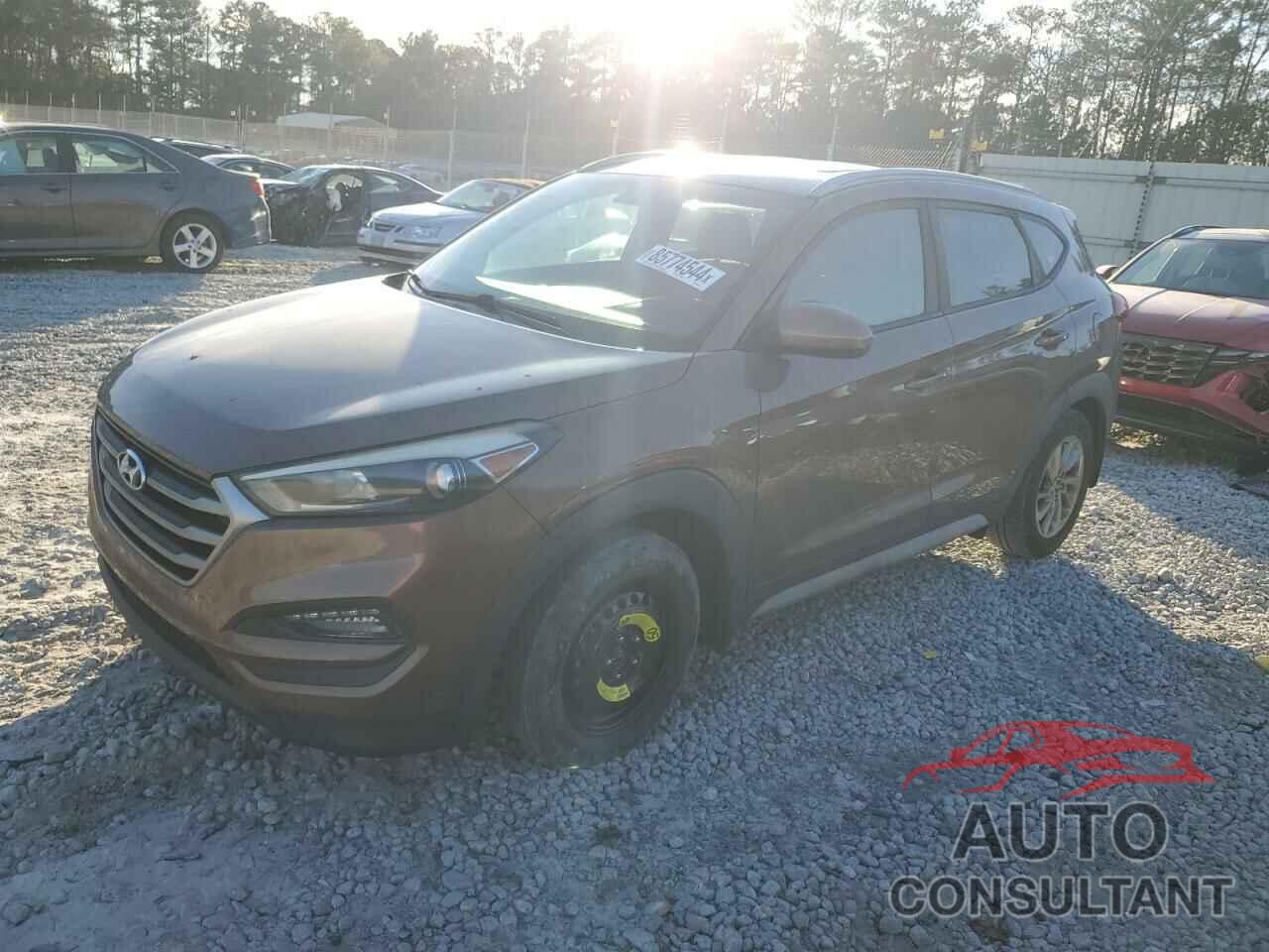 HYUNDAI TUCSON 2017 - KM8J33A42HU594699