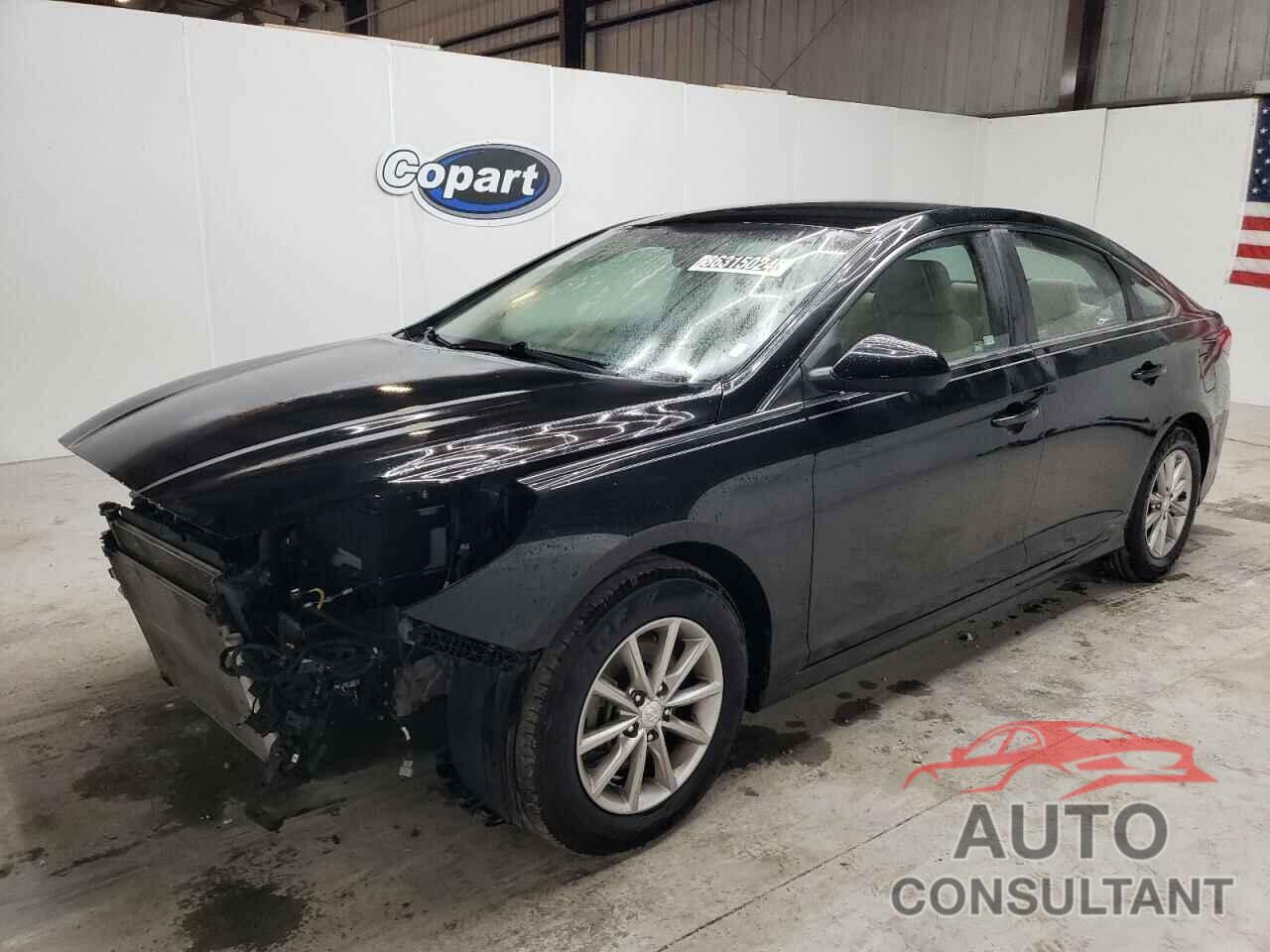 HYUNDAI SONATA 2019 - 5NPE24AF6KH805890