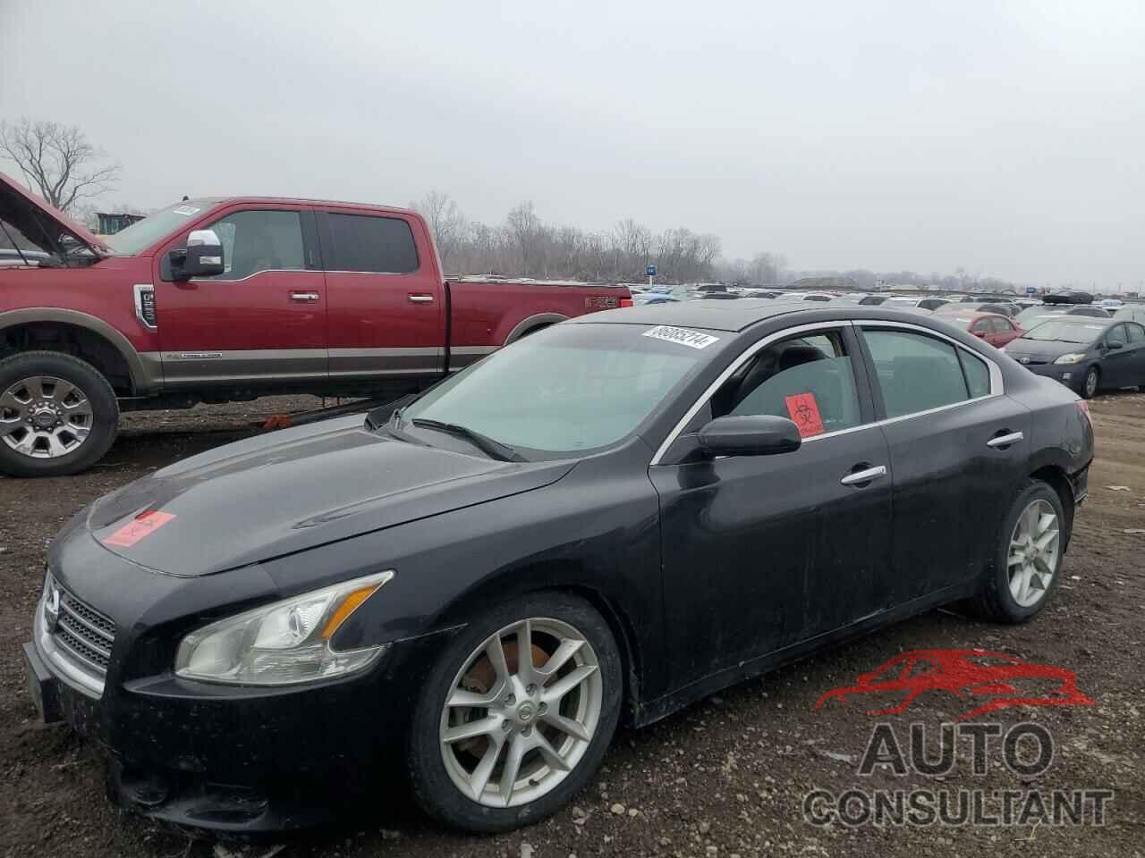 NISSAN MAXIMA 2009 - 1N4AA51E09C842914