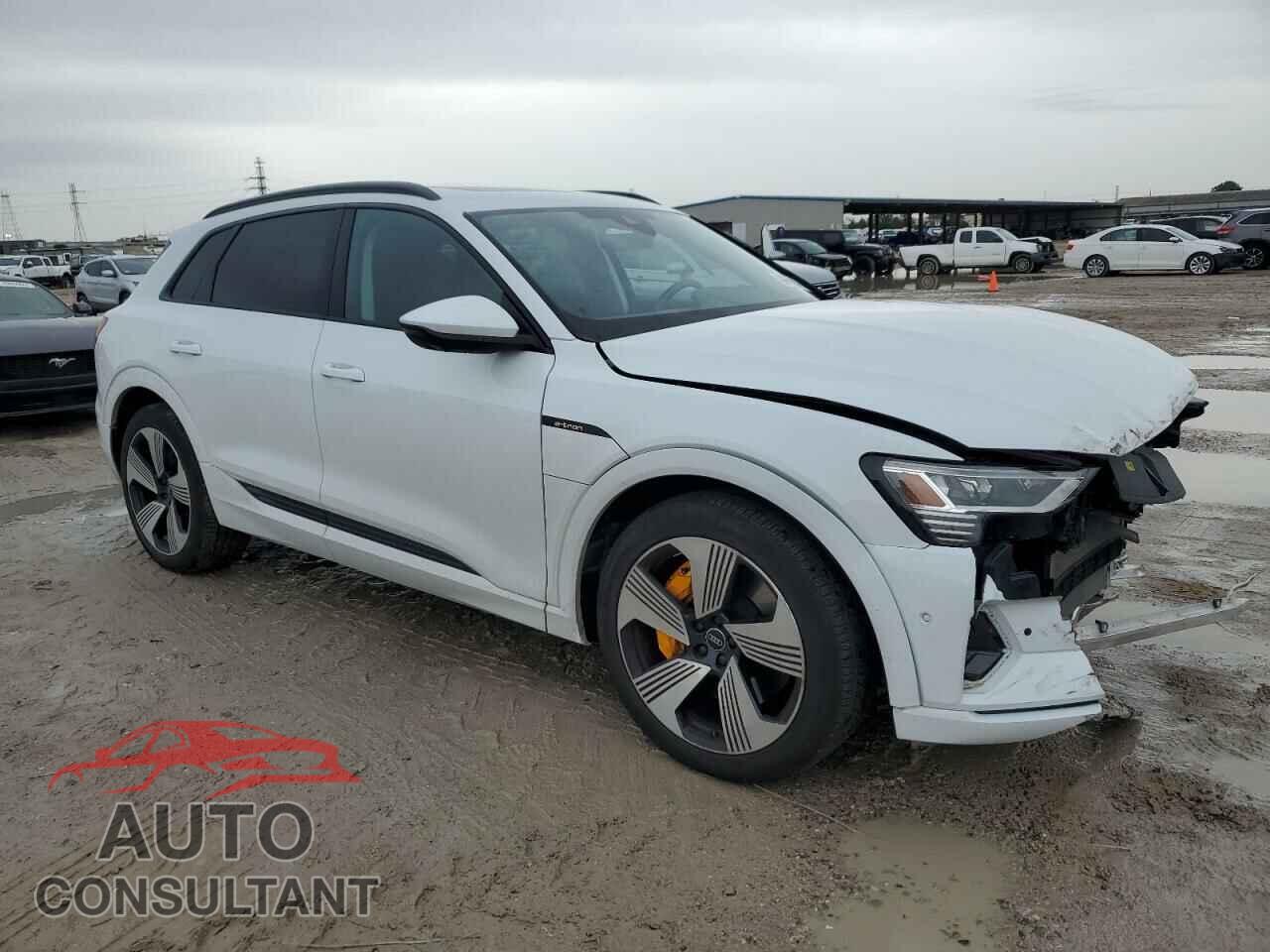 AUDI E-TRON 2023 - WA1LAAGE4PB011657