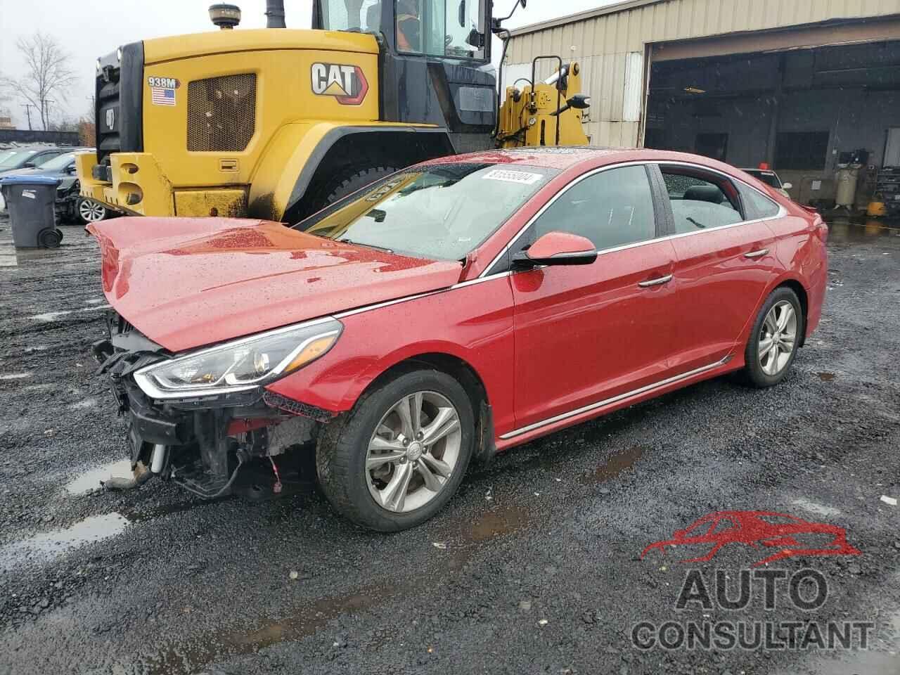 HYUNDAI SONATA 2019 - 5NPE34AF6KH735272