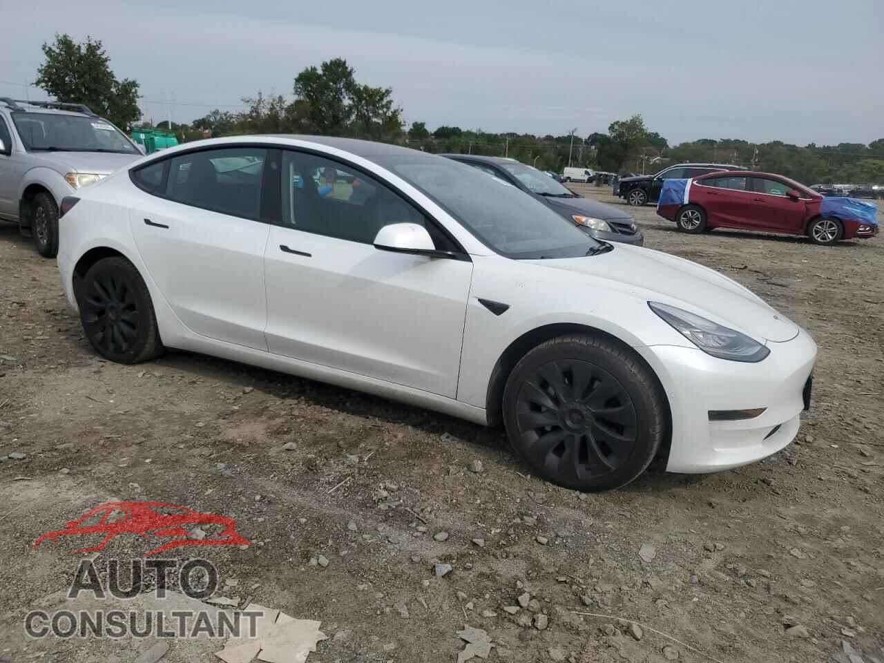 TESLA MODEL 3 2021 - 5YJ3E1EA8MF852075