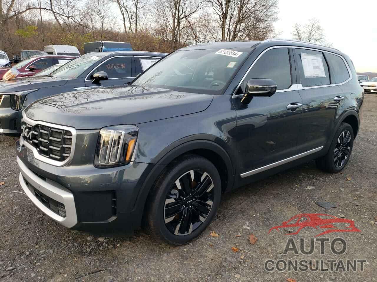 KIA TELLURIDE 2024 - 5XYP5DGC5RG541334