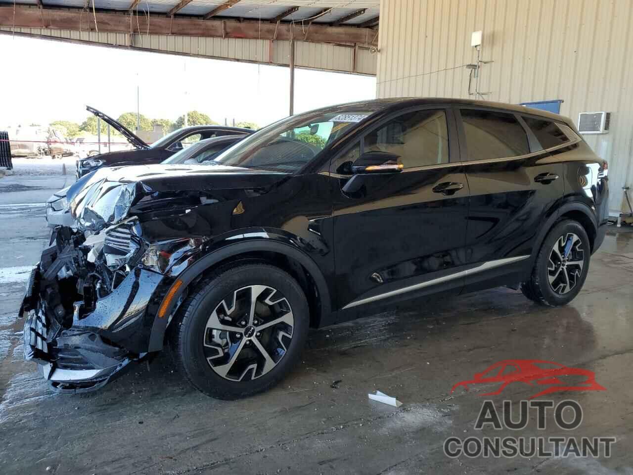 KIA SPORTAGE 2024 - 5XYK33DF7RG205385