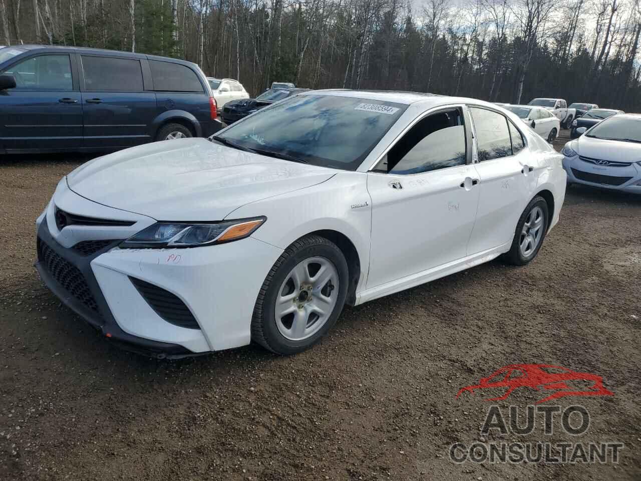 TOYOTA CAMRY 2019 - 4T1B21HK5KU512861