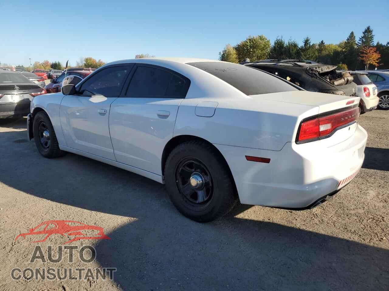 DODGE CHARGER 2013 - 2C3CDXAG5DH546028