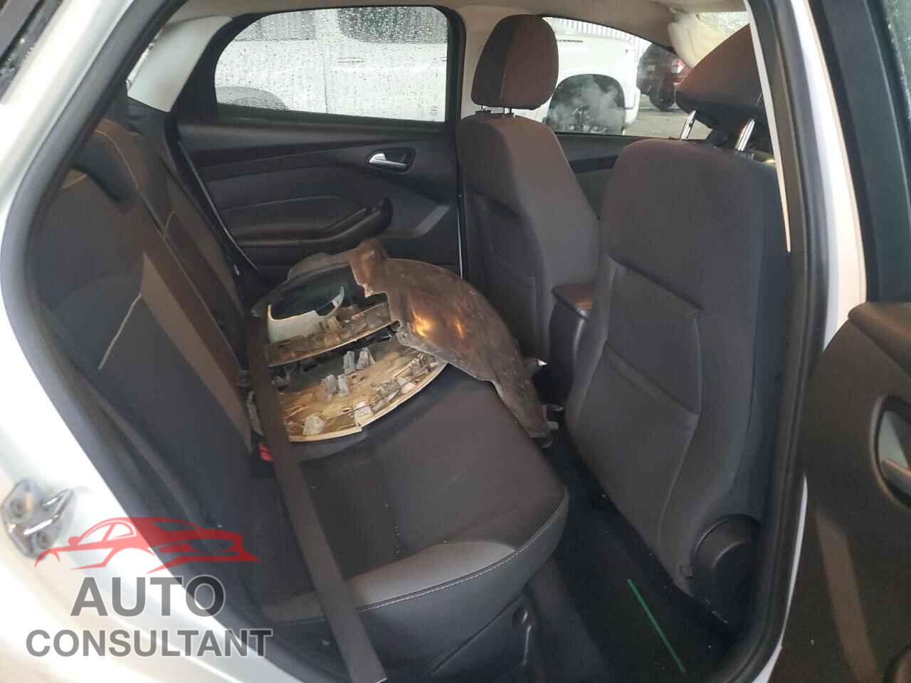 FORD FOCUS 2014 - 1FADP3F29EL255202