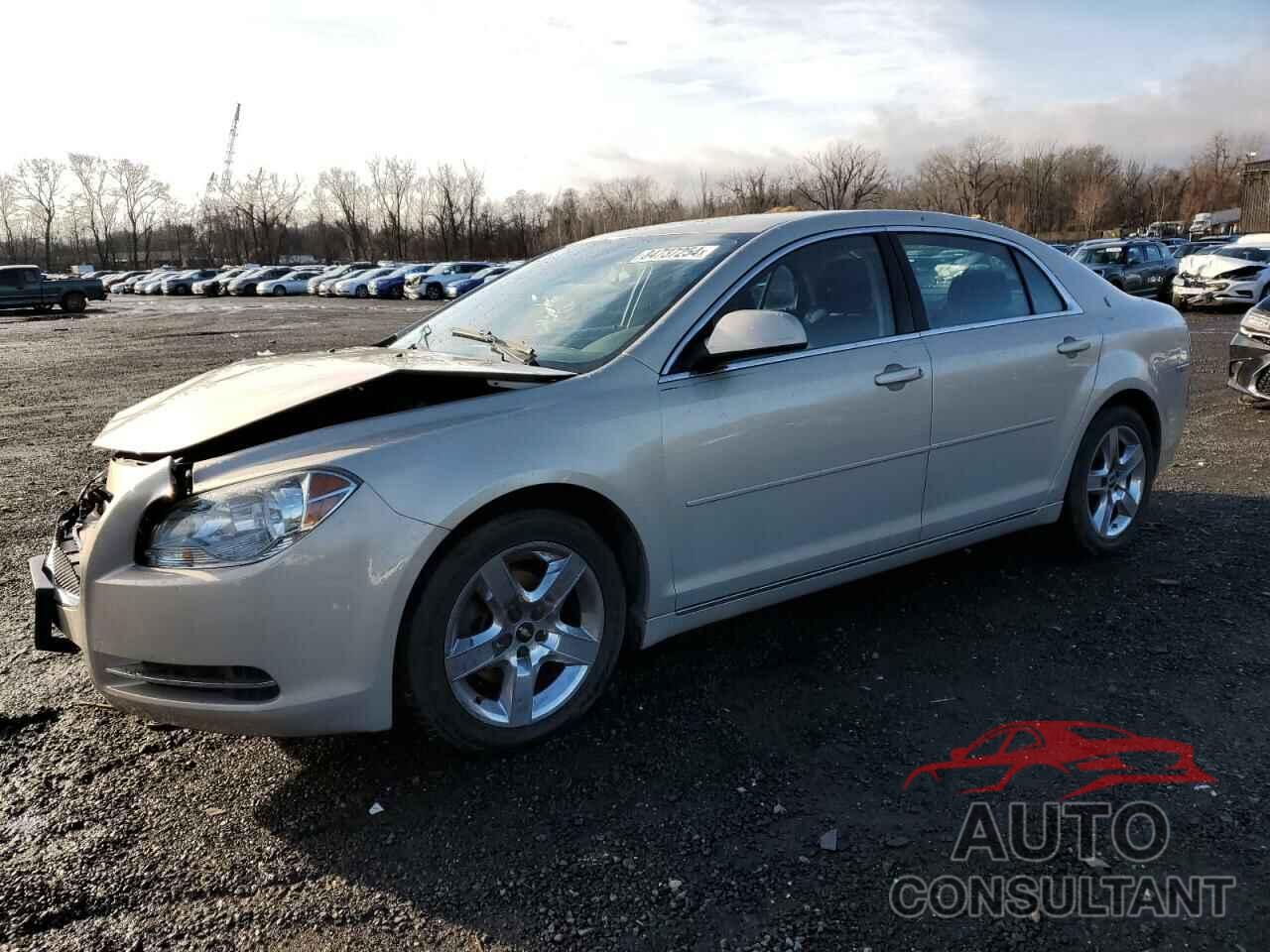 CHEVROLET MALIBU 2010 - 1G1ZC5EB1AF309098