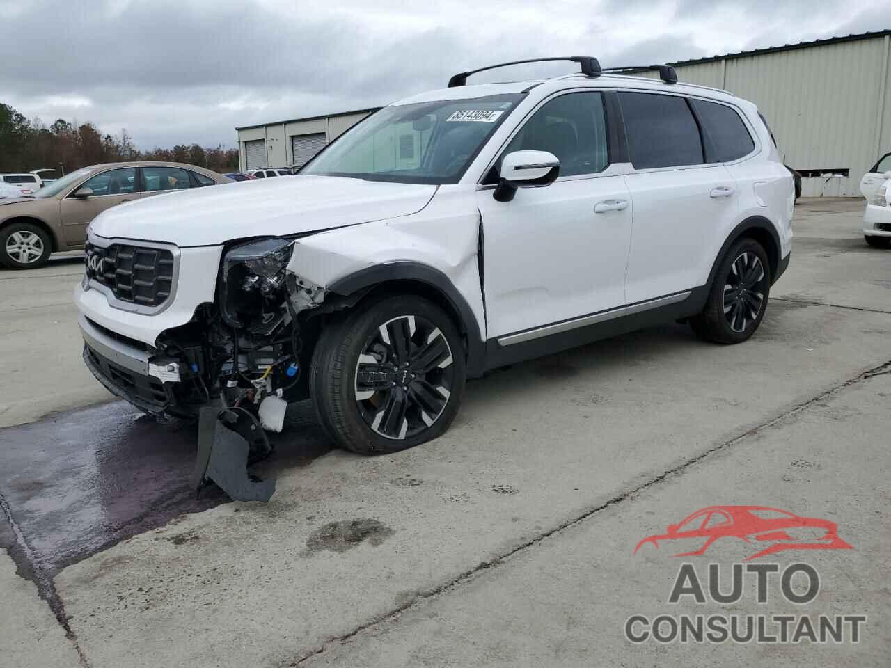 KIA TELLURIDE 2024 - 5XYP54GC0RG461259
