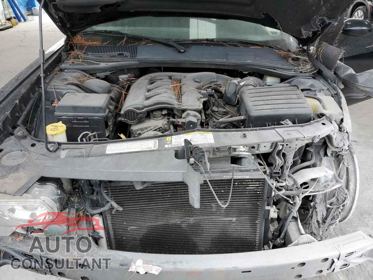 DODGE CHALLENGER 2010 - 2B3CJ4DV8AH225045