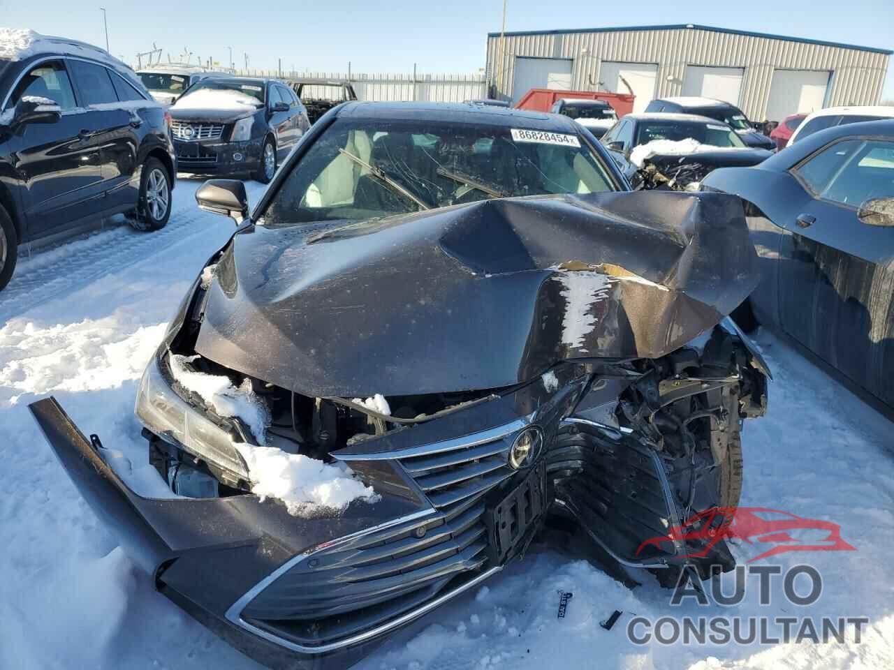 TOYOTA AVALON 2019 - 4T1BZ1FB6KU005563