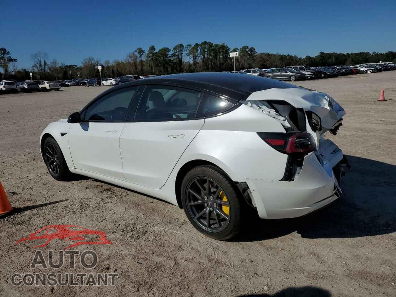 TESLA MODEL 3 2019 - 5YJ3E1EA8KF402939