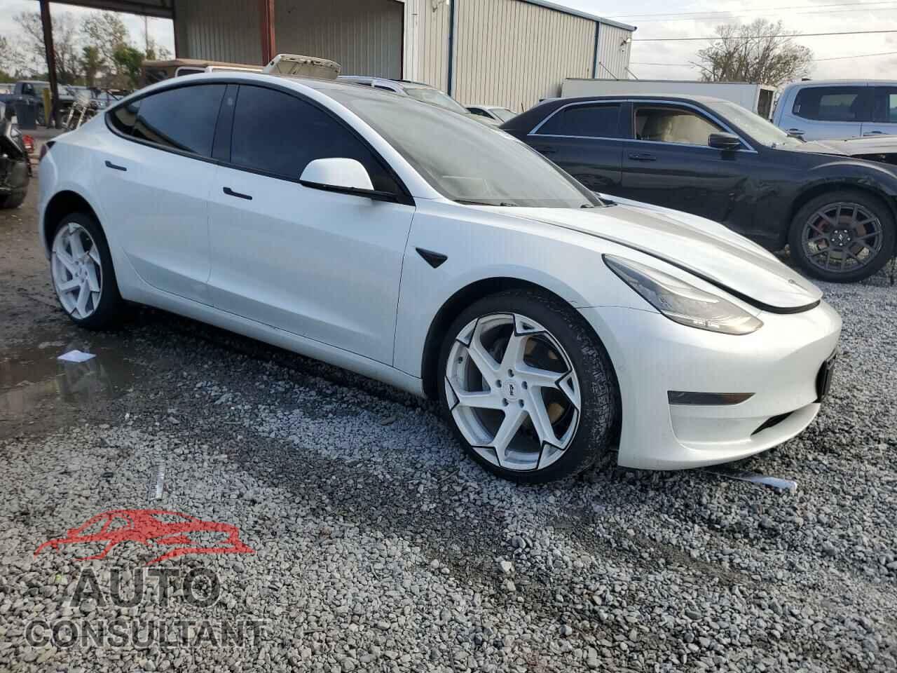 TESLA MODEL 3 2019 - 5YJ3E1EA1KF482519