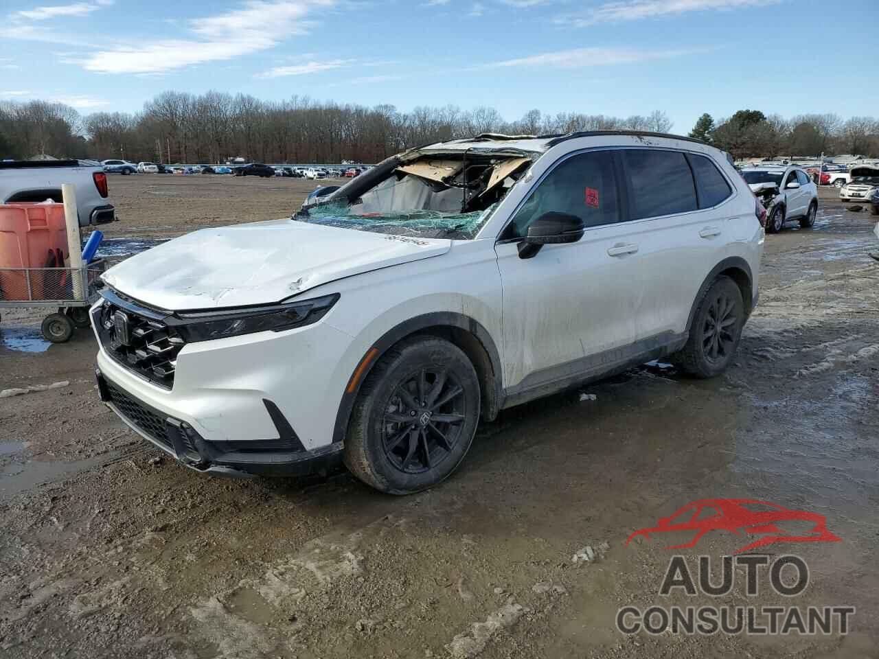 HONDA CRV 2023 - 2HKRS5H53PH701644