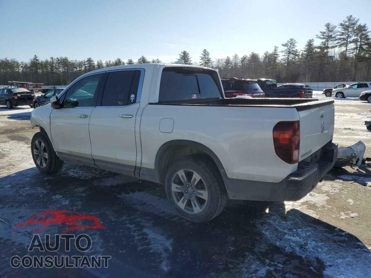 HONDA RIDGELINE 2019 - 5FPYK3F73KB005448
