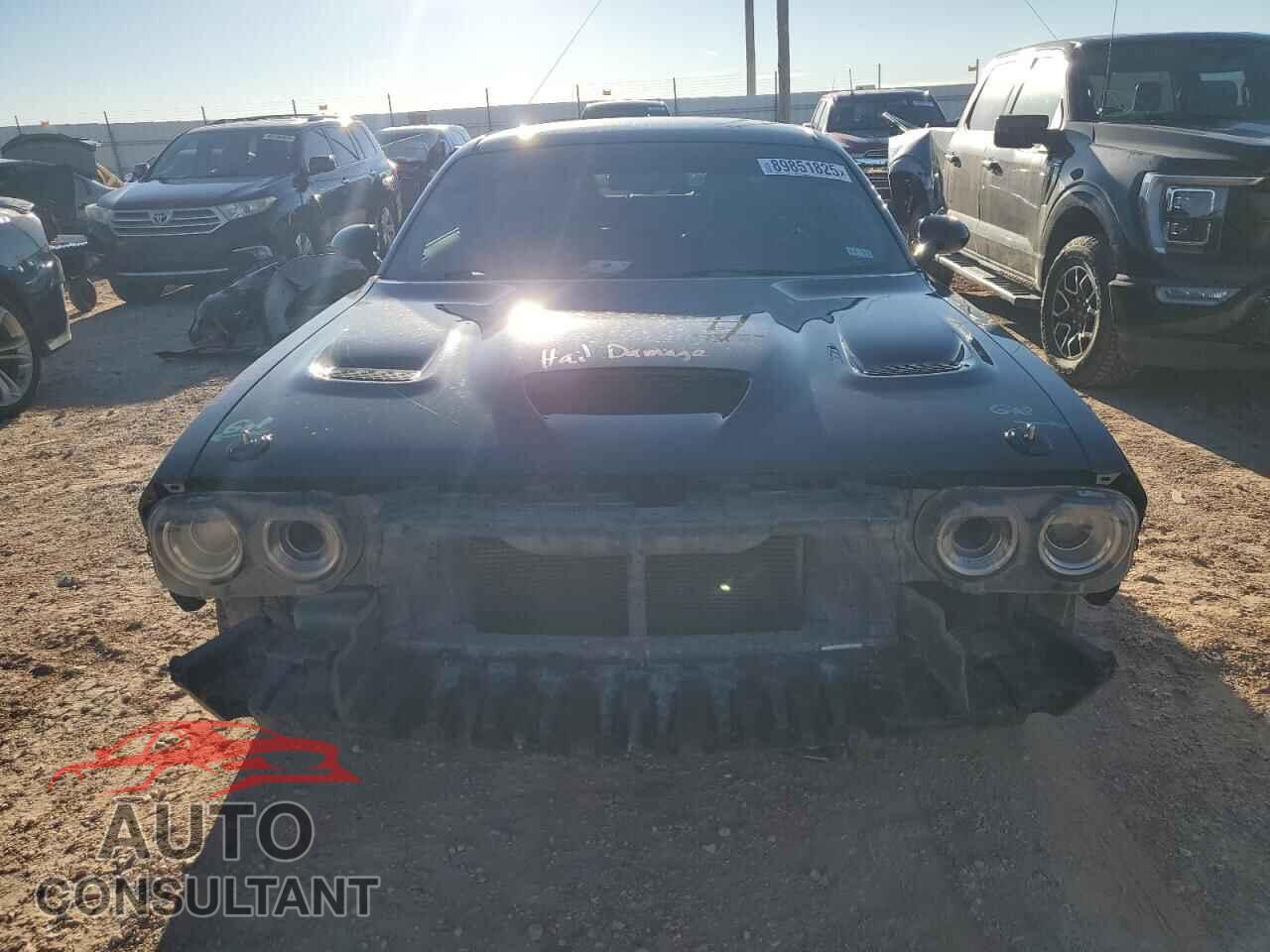 DODGE CHALLENGER 2019 - 2C3CDZFJ7KH707038