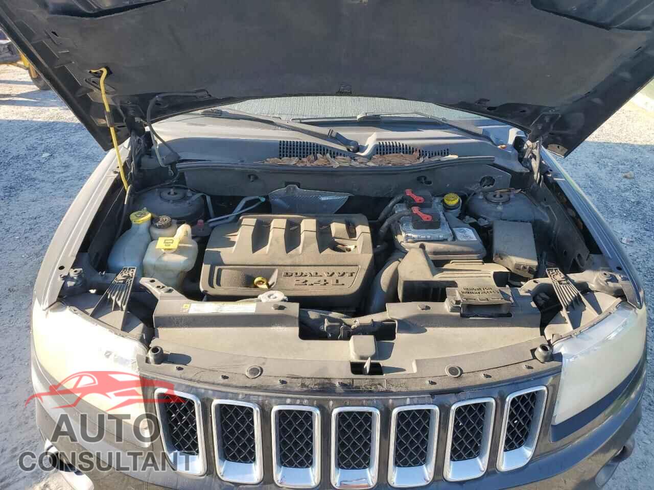 JEEP COMPASS 2011 - 1J4NF1FBXBD164574