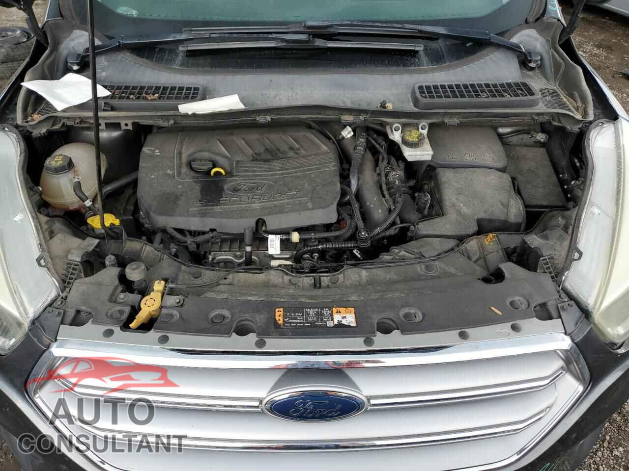 FORD ESCAPE 2017 - 1FMCU0GD8HUE39277