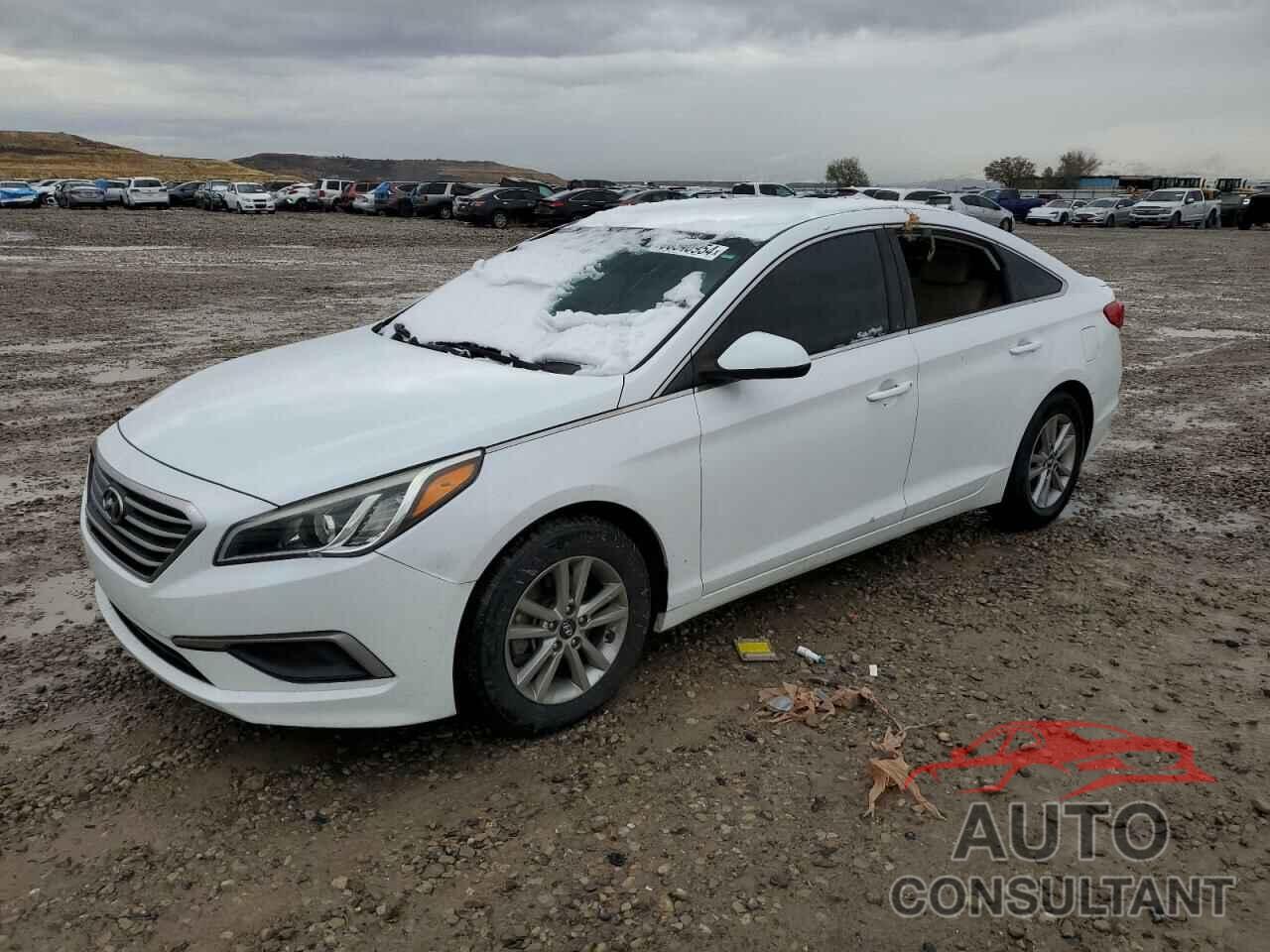 HYUNDAI SONATA 2016 - 5NPE24AF8GH263165