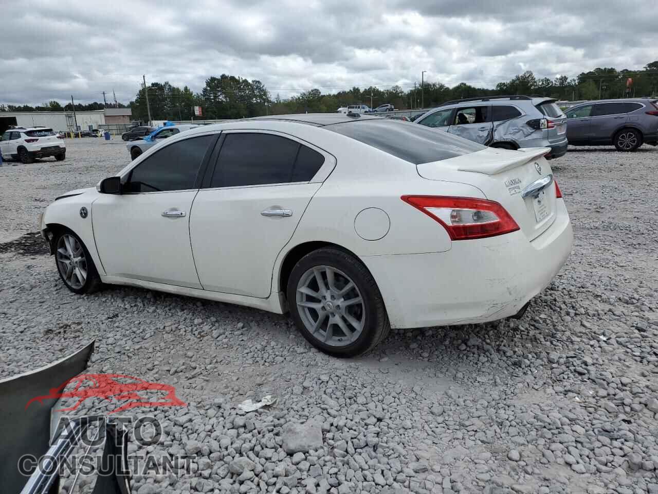 NISSAN MAXIMA 2009 - 1N4AA51E19C825247