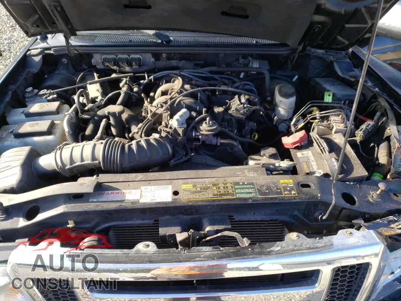 FORD RANGER 2011 - 1FTLR4FE3BPB12637