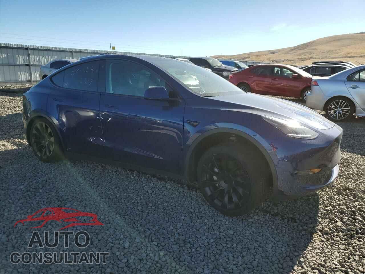 TESLA MODEL Y 2023 - 7SAYGDEE0PF782017