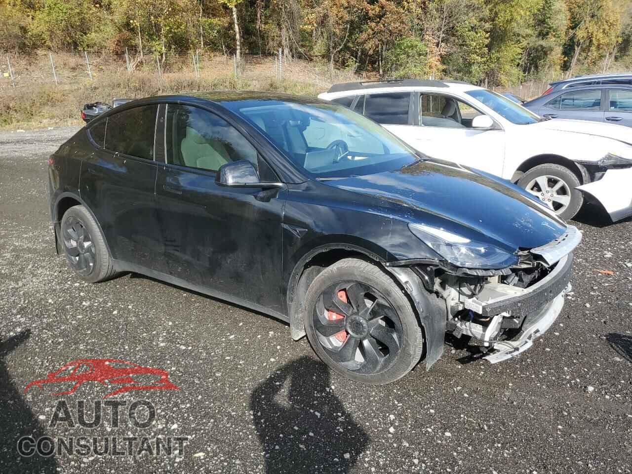 TESLA MODEL Y 2024 - 7SAYGAEE3RF011102