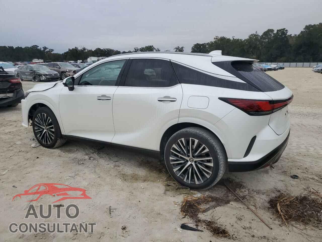 LEXUS RX 350 PRE 2023 - JTJCHMAA2P2005457