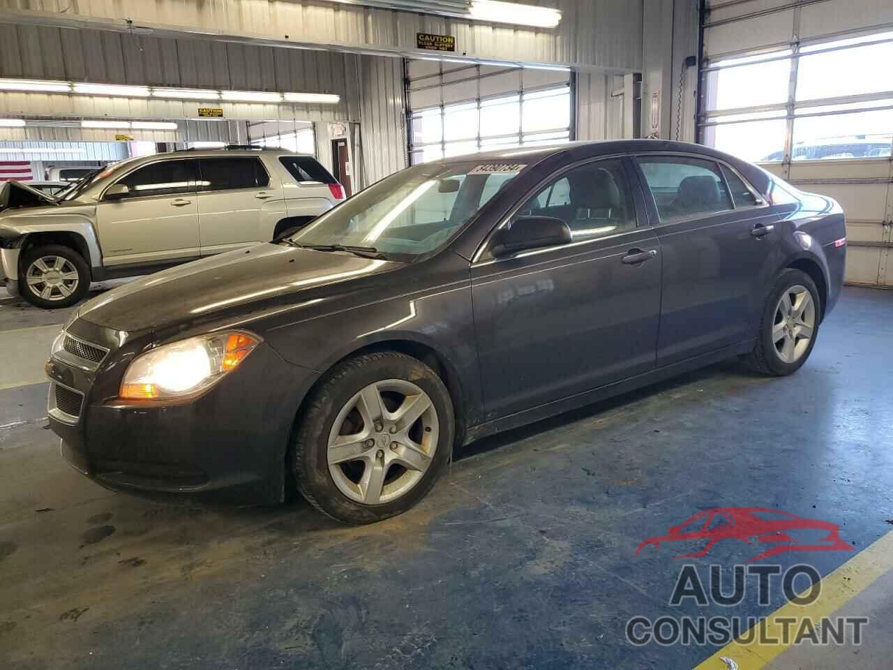 CHEVROLET MALIBU 2011 - 1G1ZA5EU7BF345130