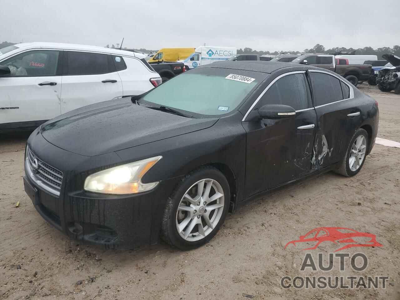 NISSAN MAXIMA 2009 - 1N4AA51E39C823046