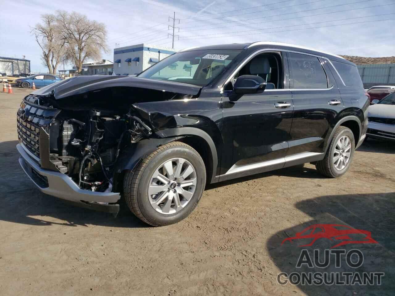 HYUNDAI PALISADE 2025 - KM8R24GE0SU871496