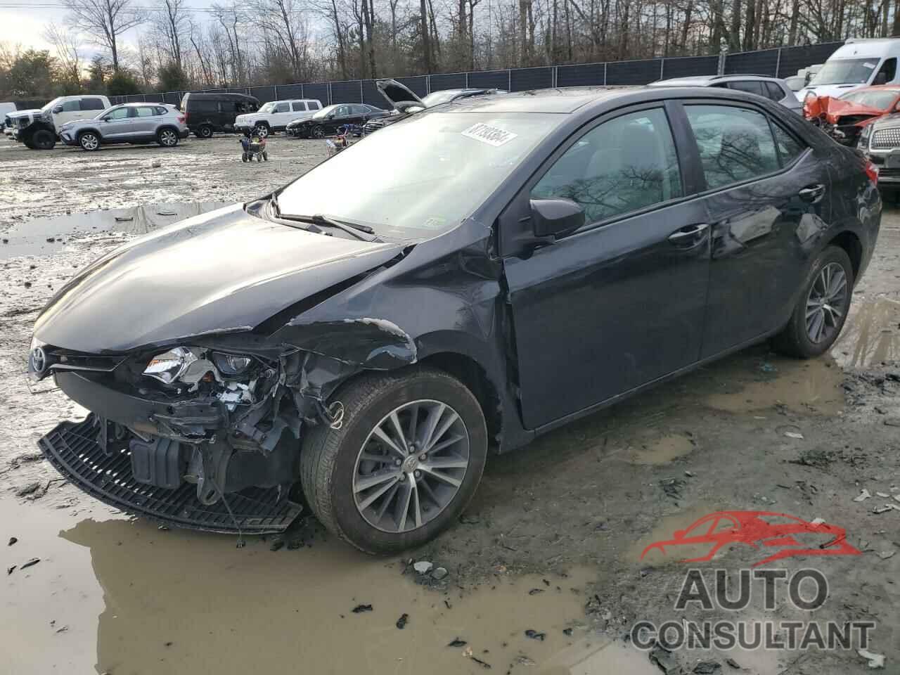 TOYOTA COROLLA 2016 - 2T1BURHE3GC495487