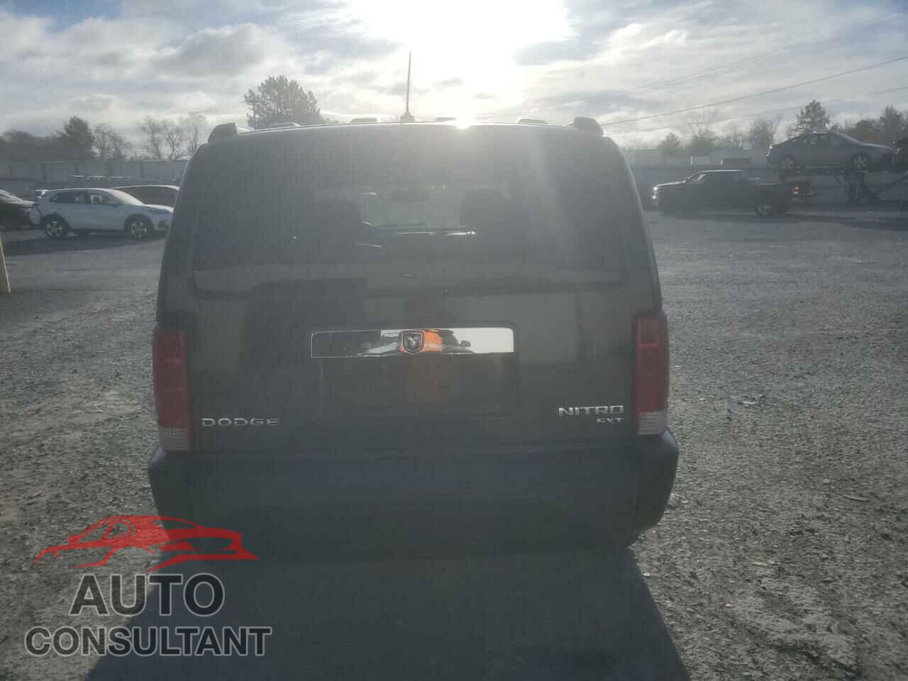 DODGE NITRO 2010 - 1D4PU5GK2AW147350