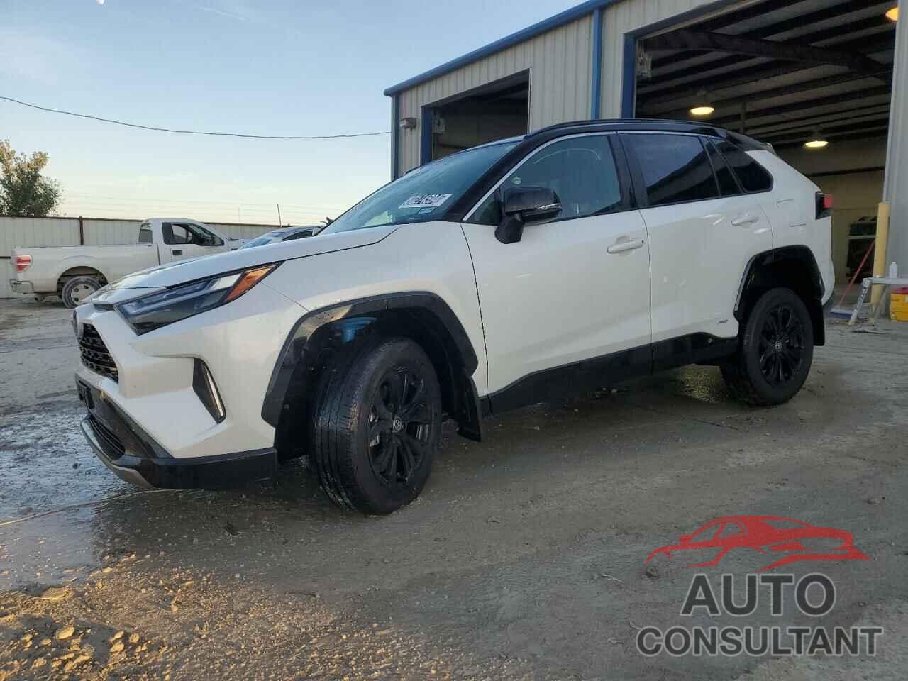 TOYOTA RAV4 2024 - 2T3E6RFV5RW050767